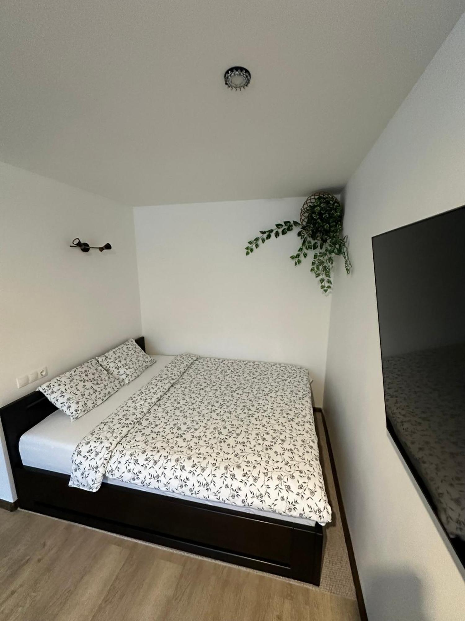 Studio Apartment Valmiera Eksteriør bilde